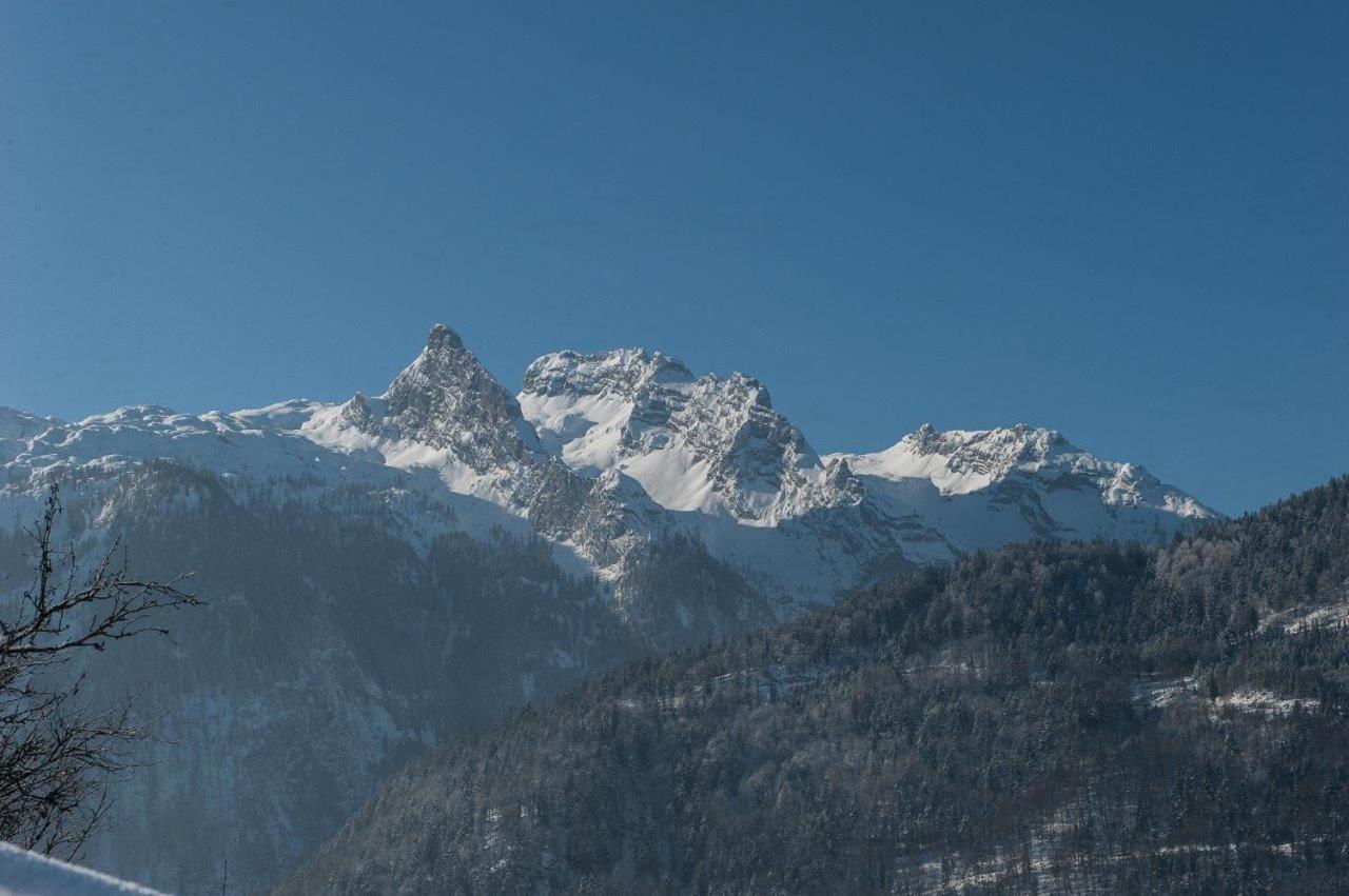 Haus Sonnblick Lägenhet Abtenau Exteriör bild