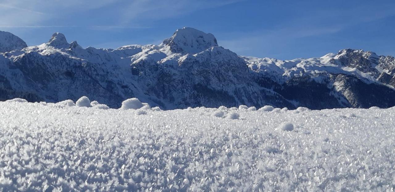 Haus Sonnblick Lägenhet Abtenau Exteriör bild