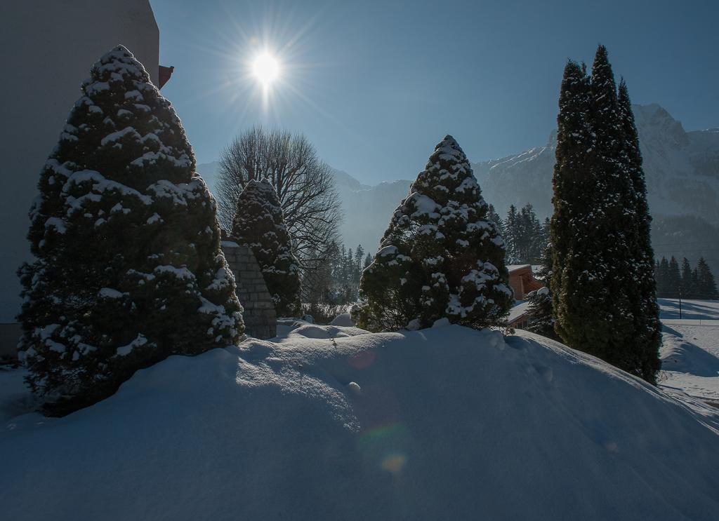 Haus Sonnblick Lägenhet Abtenau Exteriör bild